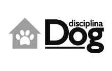 Soluções para Cães & Donos em Adestramento de Cães - Disciplina Dog