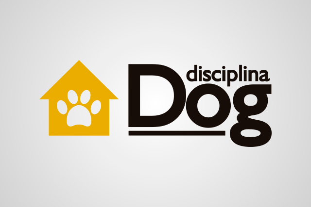 Disciplina Dog
